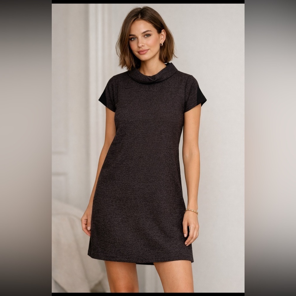 Skunkfunk Chic Knit Shift Dress Mock Neck Short Sleeve Minimalist Size 2